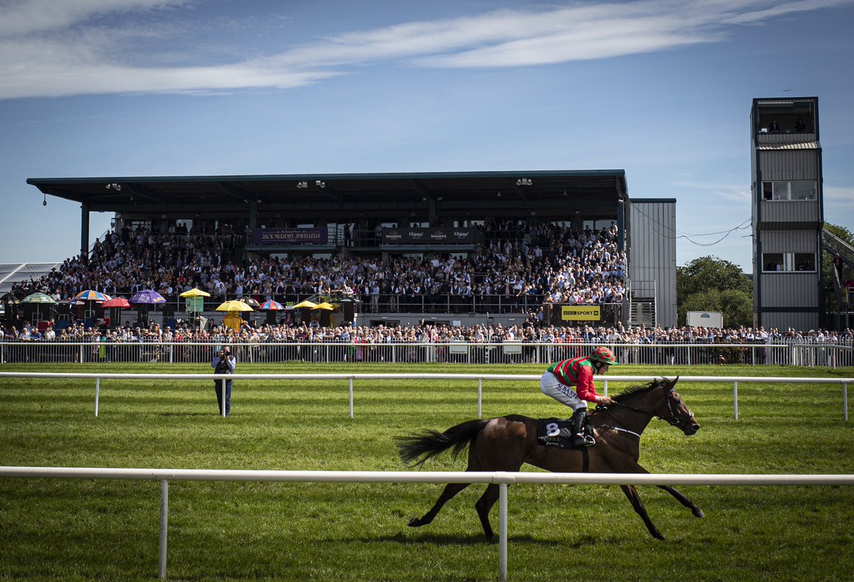 NavanRacecourse's tweet image. Serious performance from CAMPHOR to land the @weatherbysltd @IrishEBF_ Ulster Oaks Handicap @Downroyal. 
1️⃣4️⃣ days after winning her Maiden here at Navan. #NavanForm 💪🏼