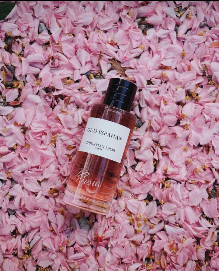 SapphysHub's tweet image. OUD ISPAHAN BY Dior in OIL FORM.
Untamed , strong , sophisticated.
The feel of magic in the air is 🔥🔥.
OUD ISPAHAN, a classic, projects confidence. 
Available in 3ml-100ml.
Click our bio to make an order. api.whatsapp.com/send?phone=234…
#perfumeoilsinlagos 
#perfumeoils #smell