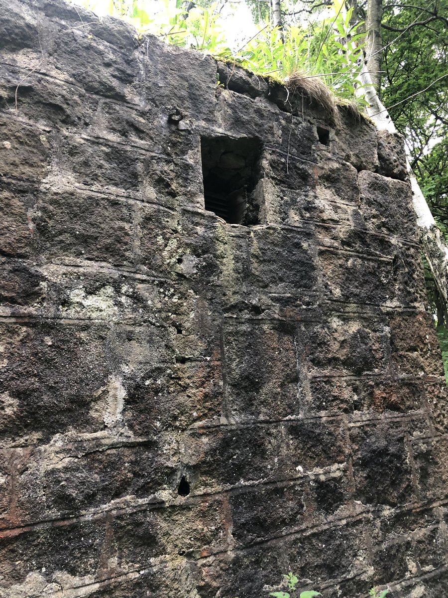 detecting_uk's tweet image. Anyone shed any light on what might have been.  Found in walk up Padley Gorge #Yorkshire