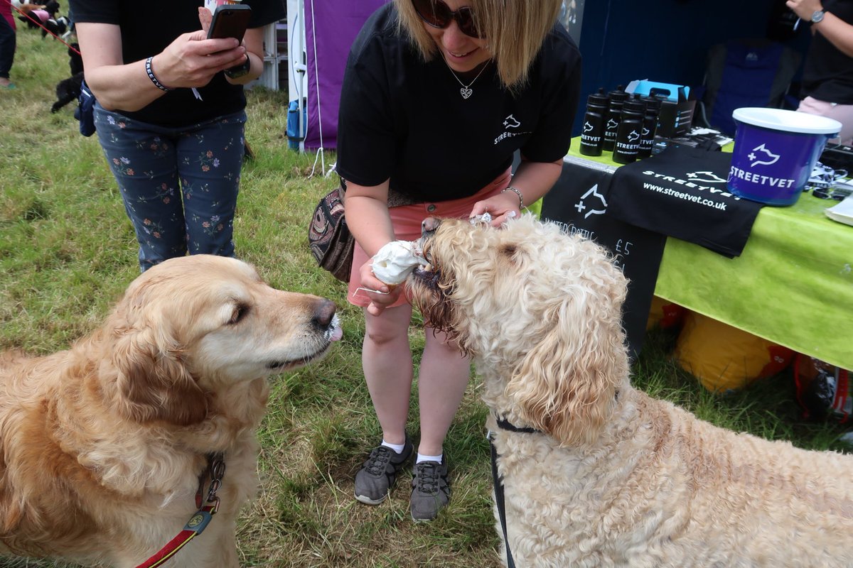 Bob Doodle and Lucy pup tweet media