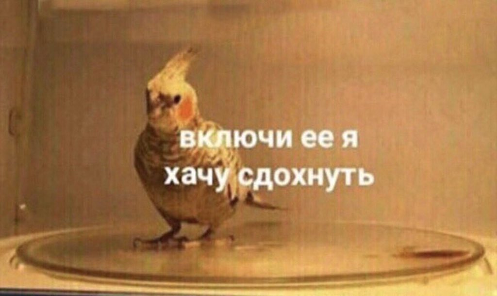 Ща кофейку бахну и норм картинки