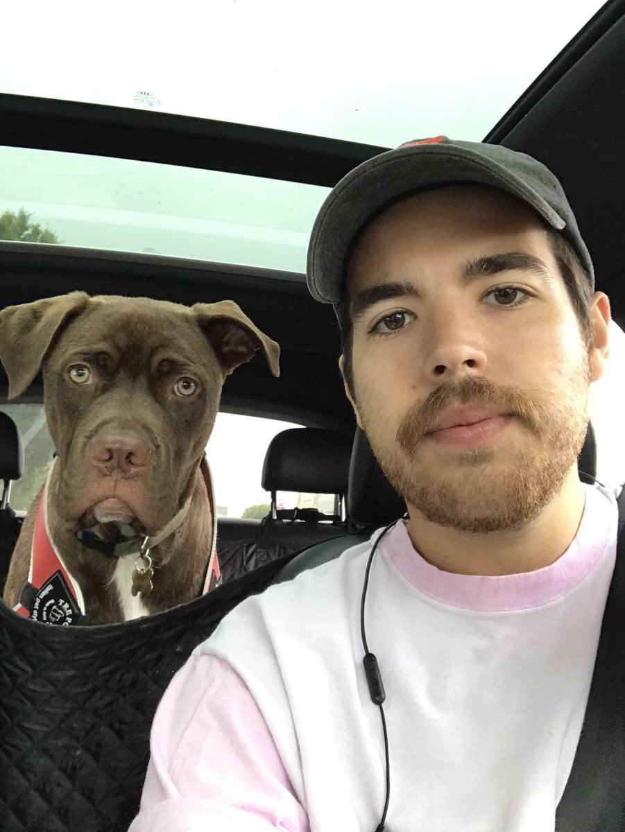 chodypatrick's tweet photo. I had to take care of an animal for 3 days and the only casualty was the cable remote. #cordcutting #streamingonly #notyourdad https://t.co/1PFs9eE8n3