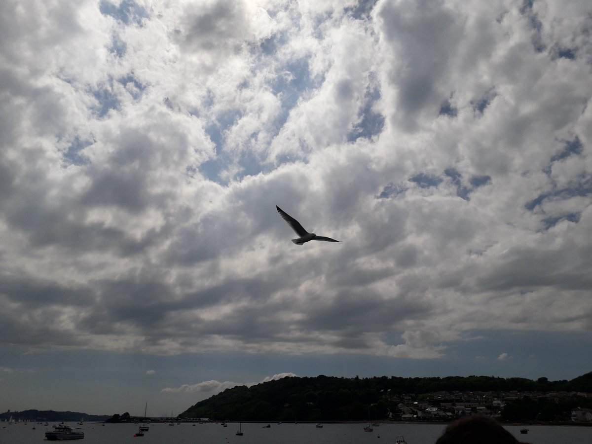SHFAunofficial's tweet photo. @ynysmon2019 @wiiga2017 He's stalked me all the way to Beaumaris.. 😳🙄

#SaintstoWales
#WesternIslesfan
#fromonhigh
#ohpoo
#bitlateforgoodluck https://t.co/nWIoplRUEz