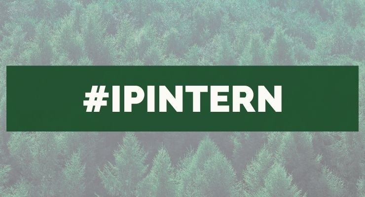 IntlPaperCo's tweet photo. This summer, we're excited to have 300 students from 55 universities joining our team as interns!
During their internships, they will get an inside look at our facilities and gain tangible experience in the packaging, pulp and paper industry. #IPIntern #InvestingInPeople https://t.co/i6BxTFpQ3p