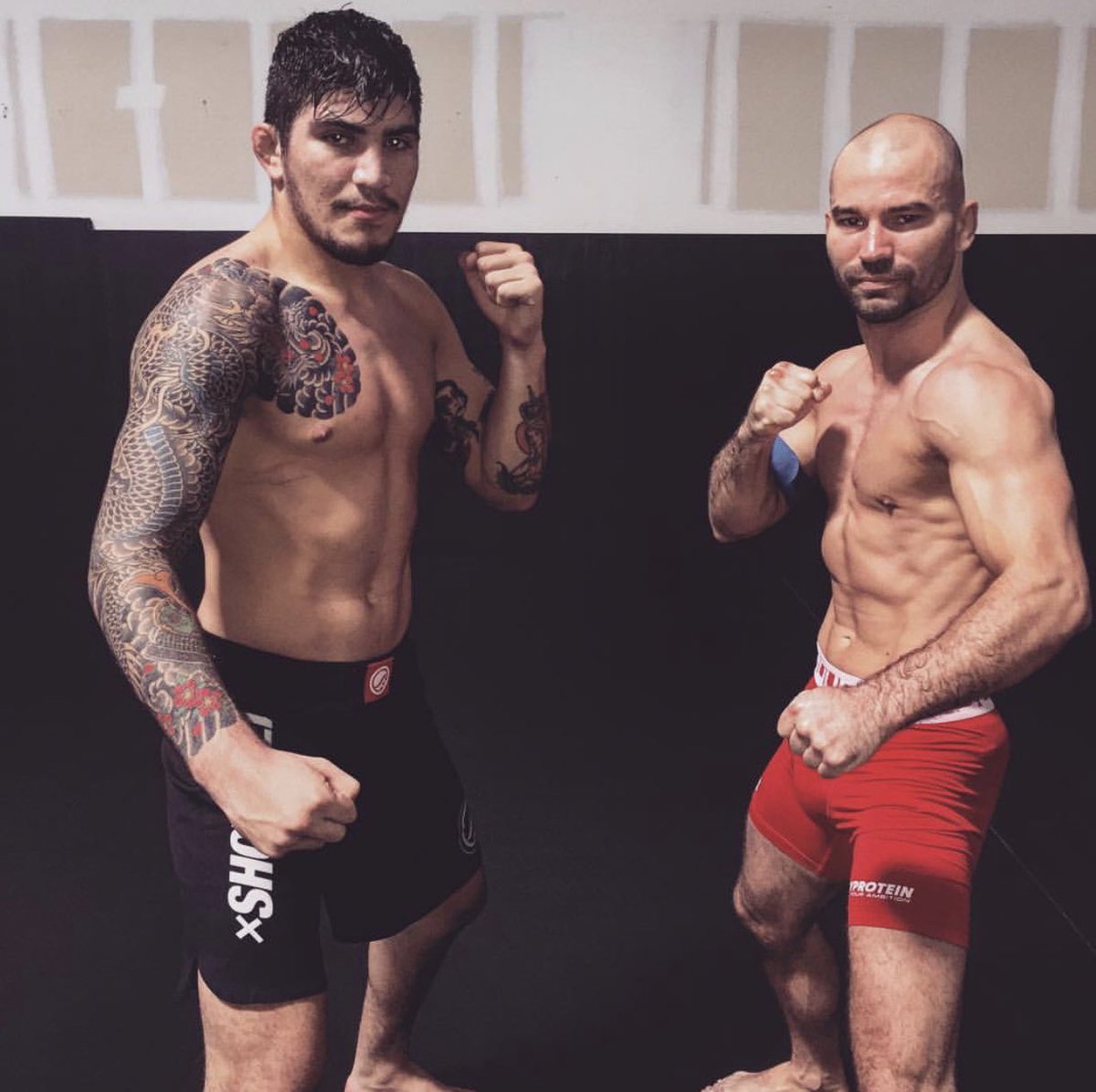 dillondanis's tweet image. the russian hammer 🔨