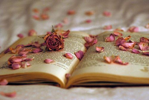 Majid_Almaskari's tweet photo. "

شيئان سيجعلانك أكثر حكمة : 
الكتب التي تقرؤها 
والأشخاص الذين تقابلهم !. ⭐🌸 #مساء_الخير
#اجمل_شعور_هو https://t.co/ck9z2Q2Xno