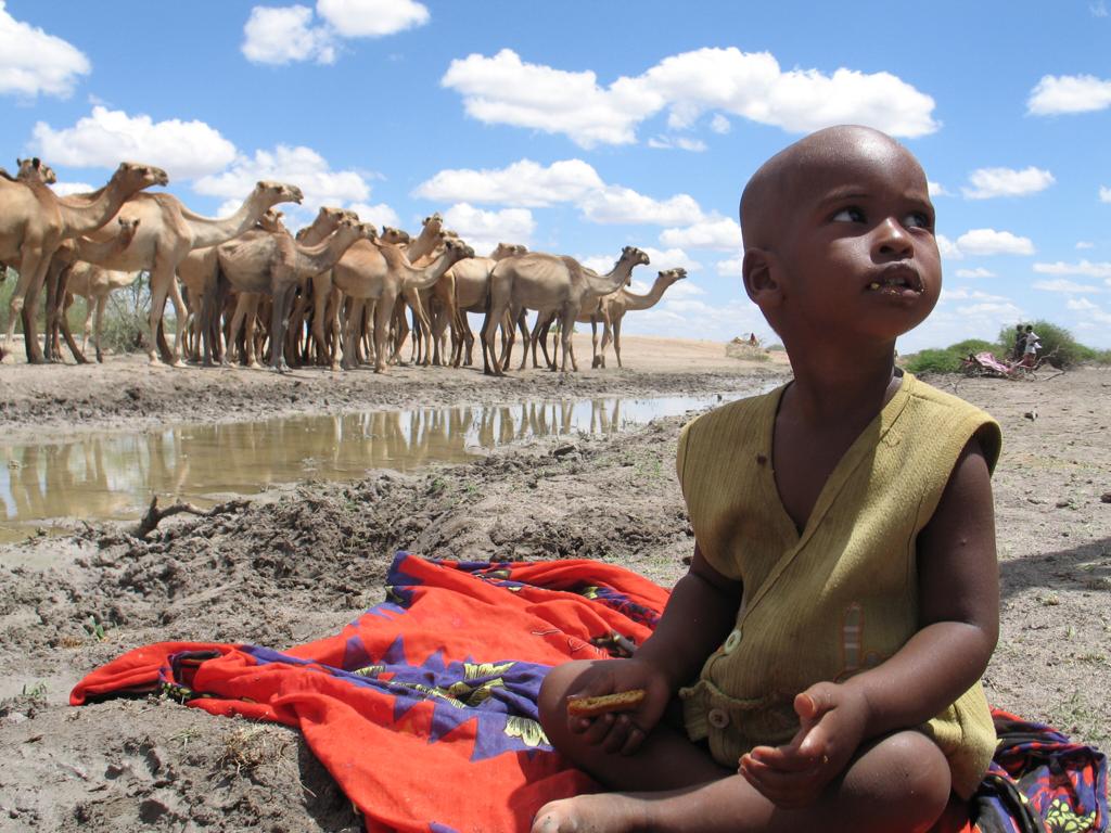 bonifacemwangi's tweet photo. One of my favourite career pics; Camel Boy encapsulates life in its most basic form, yet evokes deep thoughts about our existence.This image hangs in palaces and galleries across the world.Get an autographed print at your office.l will personally deliver in #Kenya. #WorldCamelDay https://t.co/PwPasaZTv7