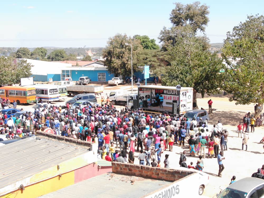 WWF Zambia tweet media