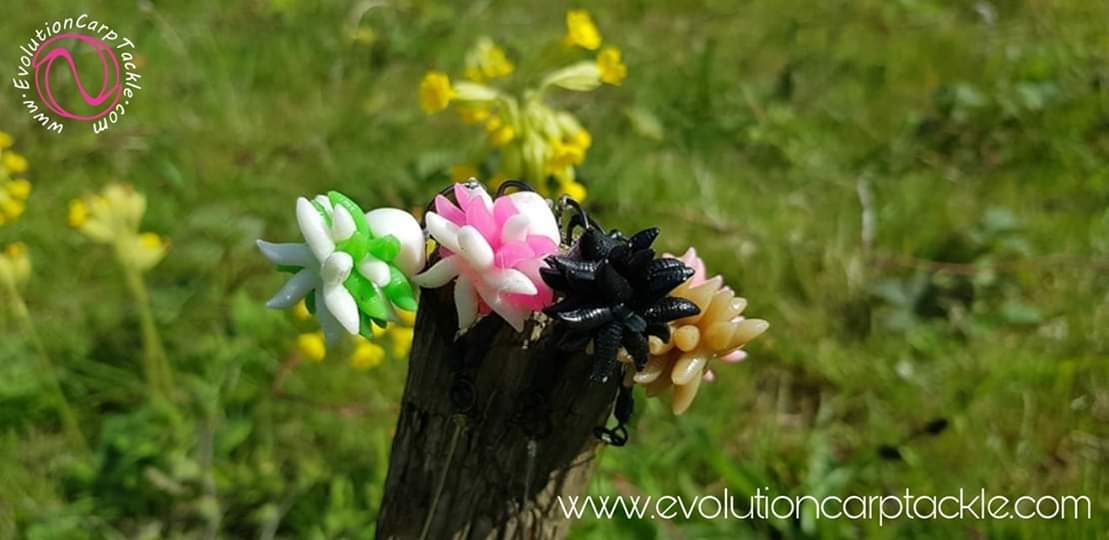 DONT LEAVE IT LATE. Get your order placed in time for your next session. We have a massive selection of artificial bait, the revolutionary NSR &amp; our last elements range of end tackle.
Evolutioncarptackle.com #EvolutionCarpTackle #Evolve® #ArtificialBaits #NSR® #LastElementsRange