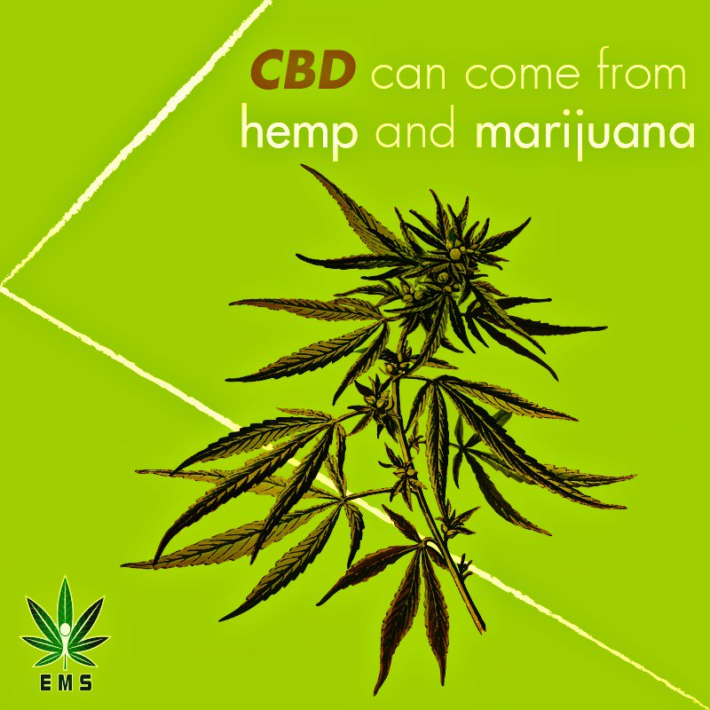 Primo_DAO's tweet photo. #EMStokenFact A common misconception is that CBD only comes from 1 type of cannabis plant. Actually, CBD is in the stalks, flowers, stems, leaves, & seeds of hemp & marijuana.
This last one has lower CBD than THC, the intoxicate compound. In hemp, CBD dominates the plant’s makeup https://t.co/9NHjQ8XgUn