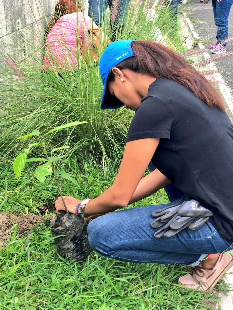 JRNdepaSS's tweet image. Nuestra directiva @JRN_DeptalSS se une a #Plantaton2019 de @CONASAV_SV 🍃

Estamos listos para trabajar por reforestar diferentes puntos de los municipios del Departamento de San Salvador. ¡Por más jóvenes voluntarios y preocupados del medio ambiente! 🌳