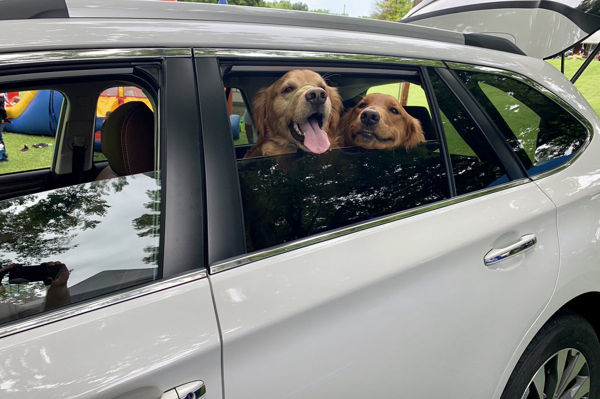 Barclay_FTW's tweet photo. Hey @subaru_usa, if your Barkley family needs to go on vacation we would be more than happy to fill in for them. We love those commercials!!!! #DogTestedDogApproved https://t.co/z6N6HaFXSY