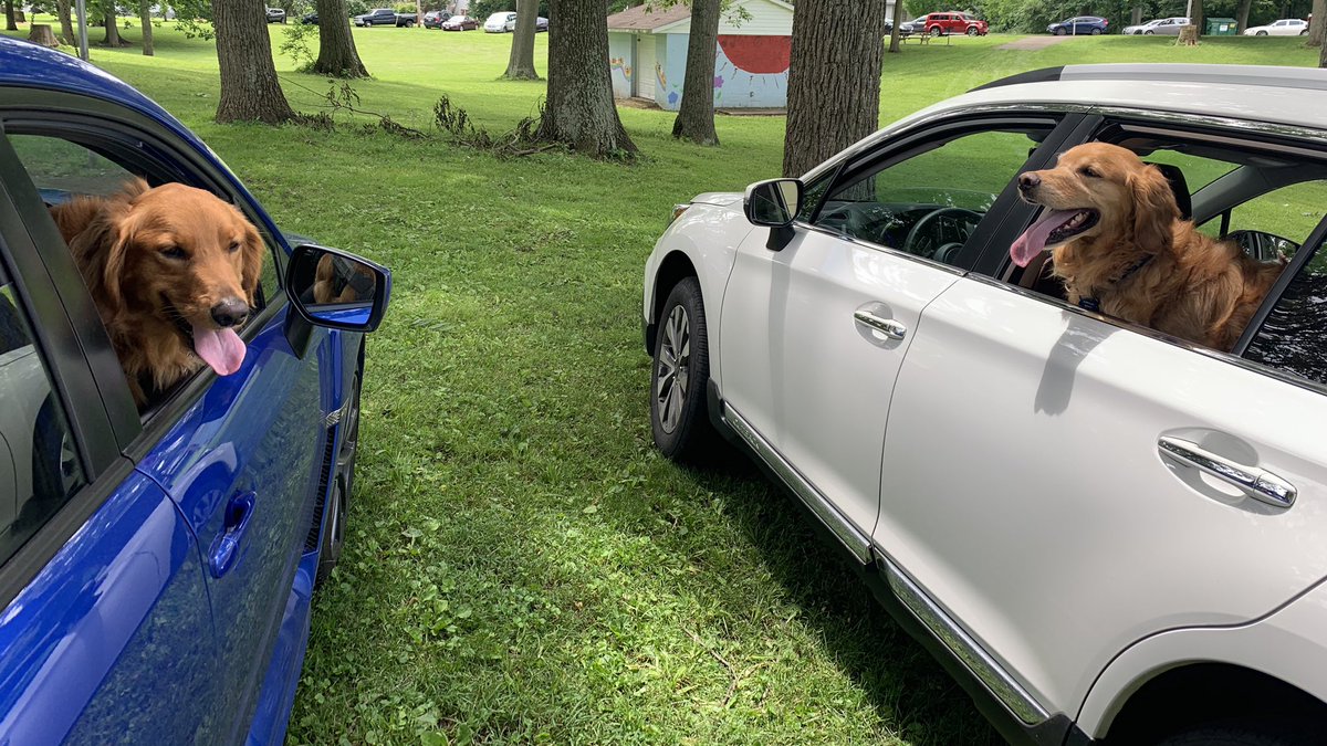 Barclay_FTW's tweet photo. Hey @subaru_usa, if your Barkley family needs to go on vacation we would be more than happy to fill in for them. We love those commercials!!!! #DogTestedDogApproved https://t.co/z6N6HaFXSY