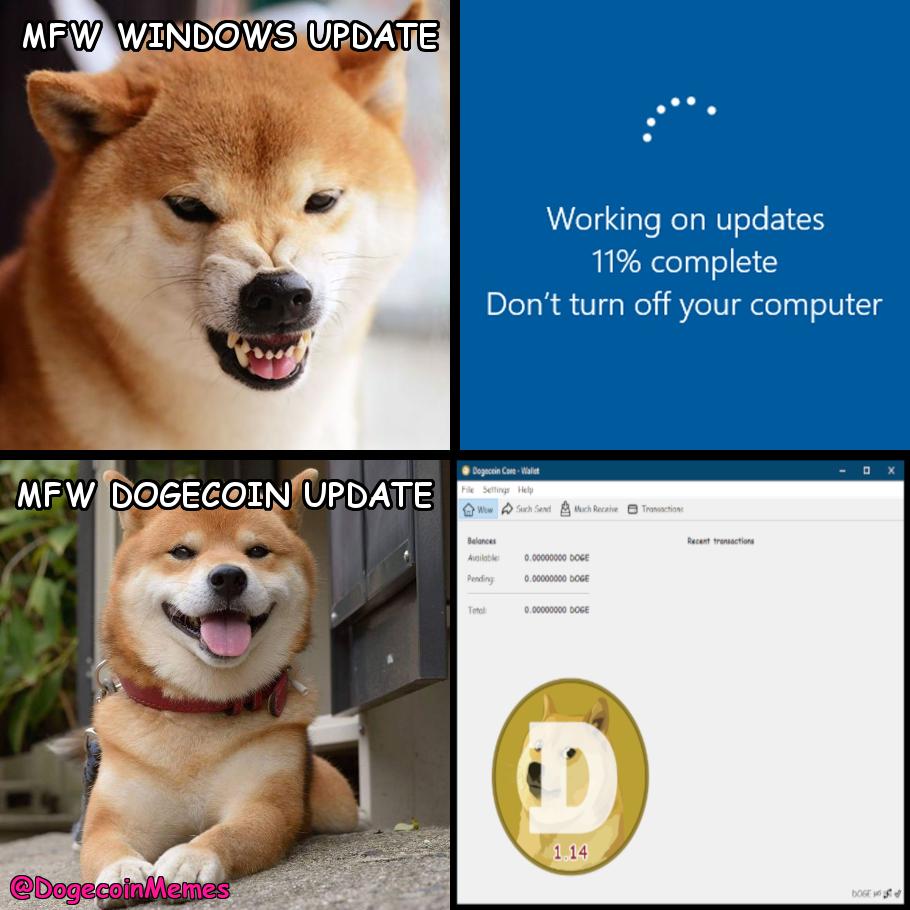 Dogecoin To The Moon Meme / D Is For Dogecoin Youtube - Get amazing ...
