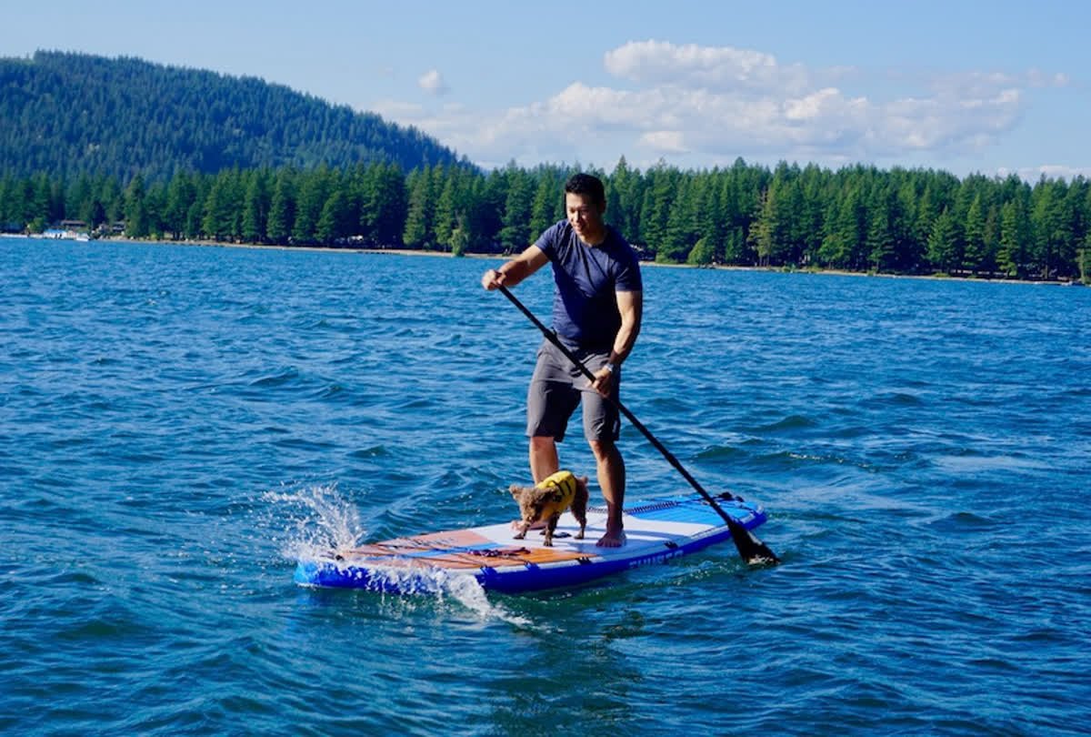 thursosurf's tweet image. Ever tried paddling in a strong wind? Here are some tips for how to stay safe, stay on board, and get back up if you get blown off. 💦

#standuppaddleboard #standuppaddleboarding #suptips #howtopaddle
qoo.ly/y5d65