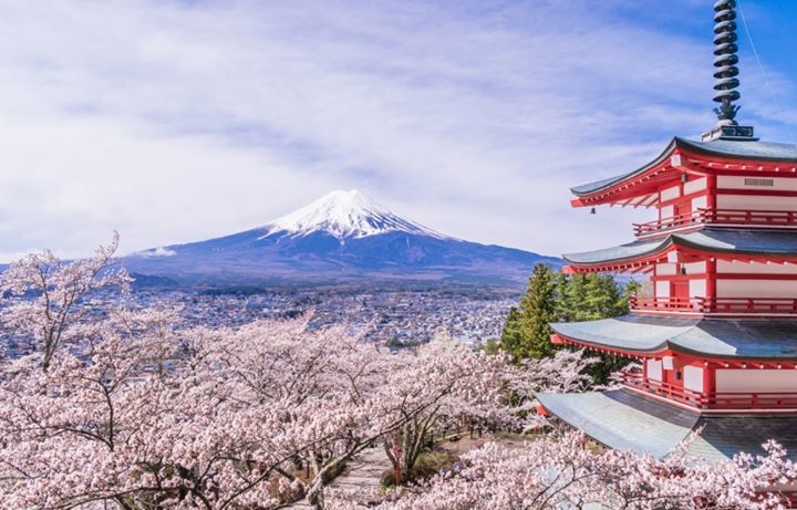 TurismoCeferino's tweet photo. El monte Fuji, un ícono de Japón que embellece el paisaje, visto desde el mejor lugar: la Pagoda Chureito .

#japon #tokio #vistas #viajes #turismo #viajesyturismo #asia #Viajes https://t.co/xhesy7d6Bu