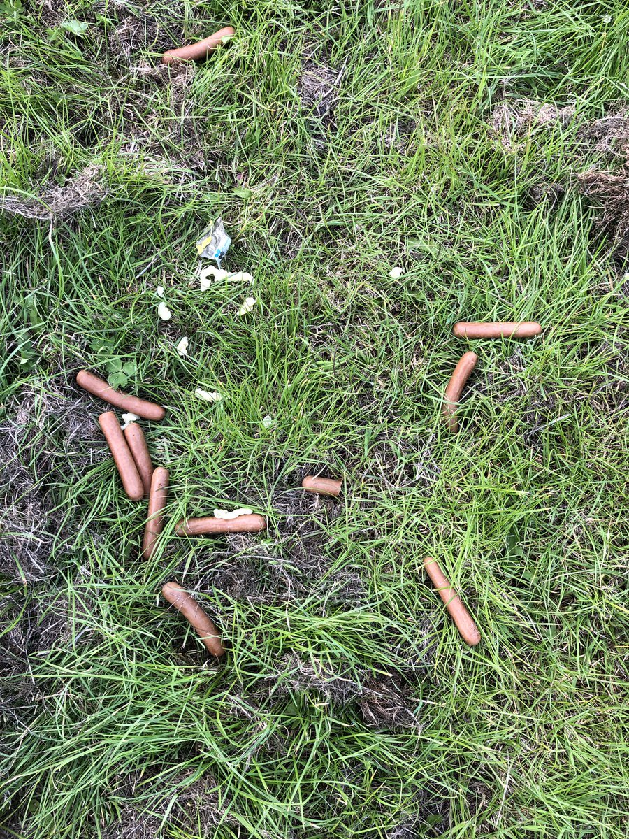 HistoryPRS's tweet image. Dinner is served @PRSdofe