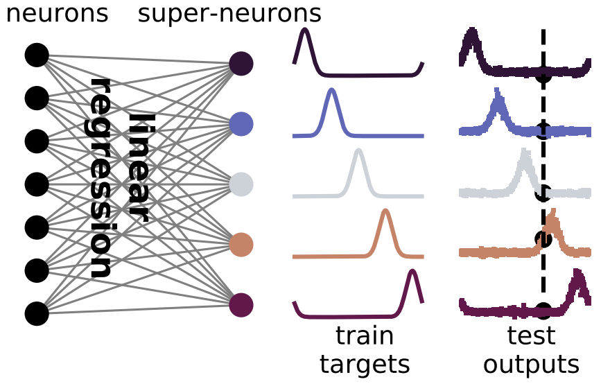 Carsen Stringer on Twitter: 