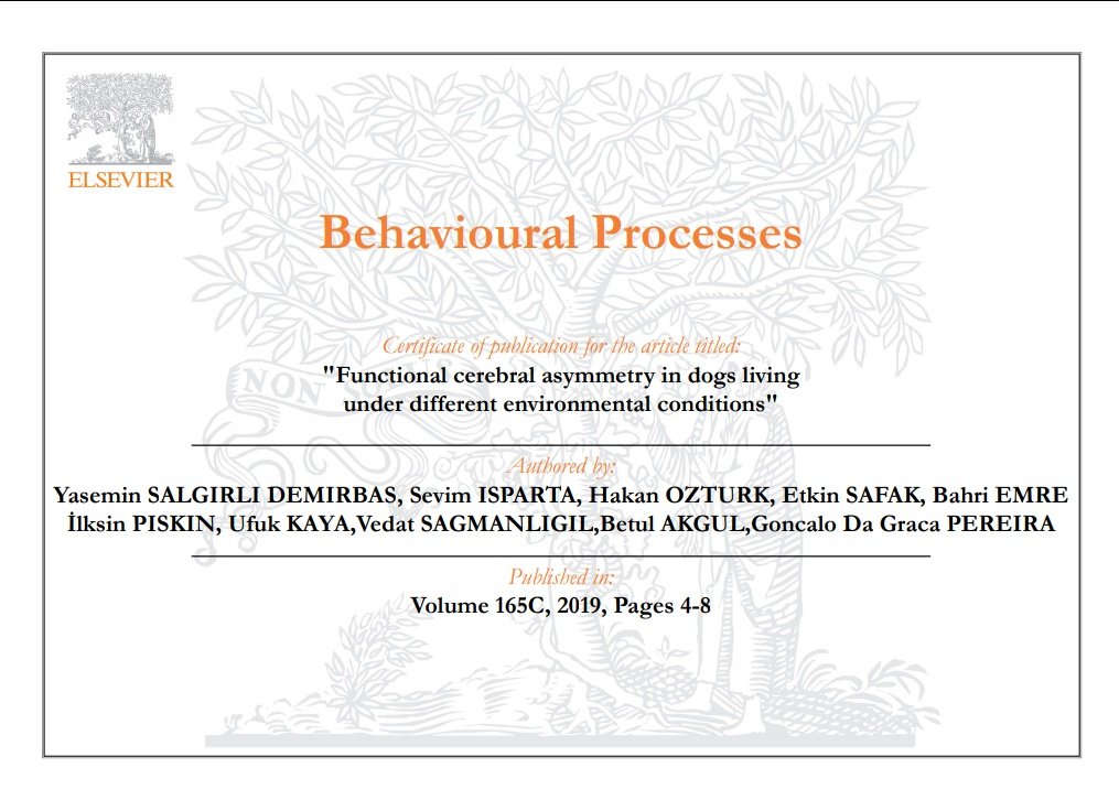 SevimIsparta's tweet image. Functional Cerebral Asymmetry in Dogs Living Under Different Environmental Conditions
sciencedirect.com/science/articl…
@ELSneuroscience
@bioDGPs
@NeuroscienceNew
@AnimBehSociety
@animalcog
@AnimalWelfareIC
#laterality #neuroscience #animalwelfare #pawpreference #shelter #animalbehaviour