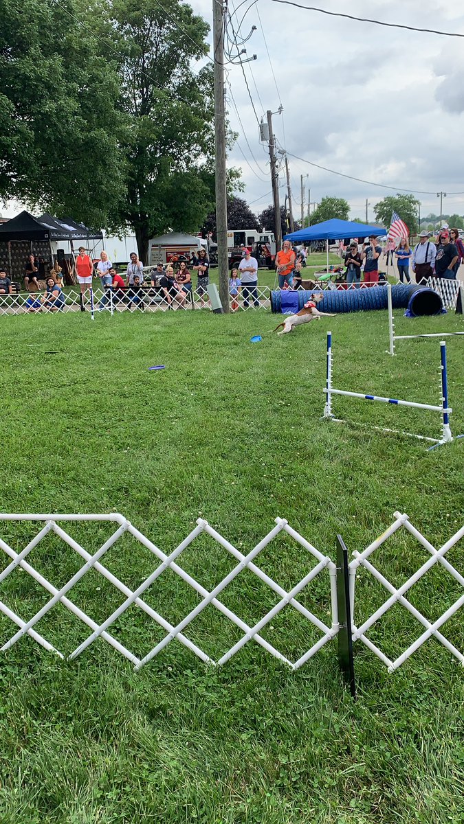 Elite performance k9’s show is going on NOW at the #marioncountyfair catch them again at 5:30p tonight!