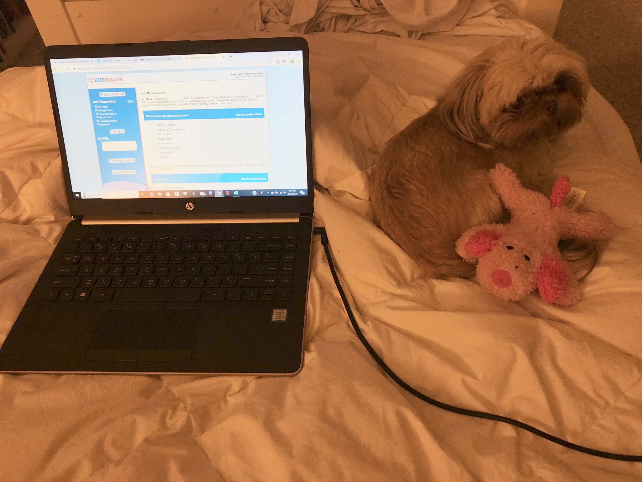 Nugget and I are phone banking for future president, Elizabeth Warren! Happy birthday !!! 