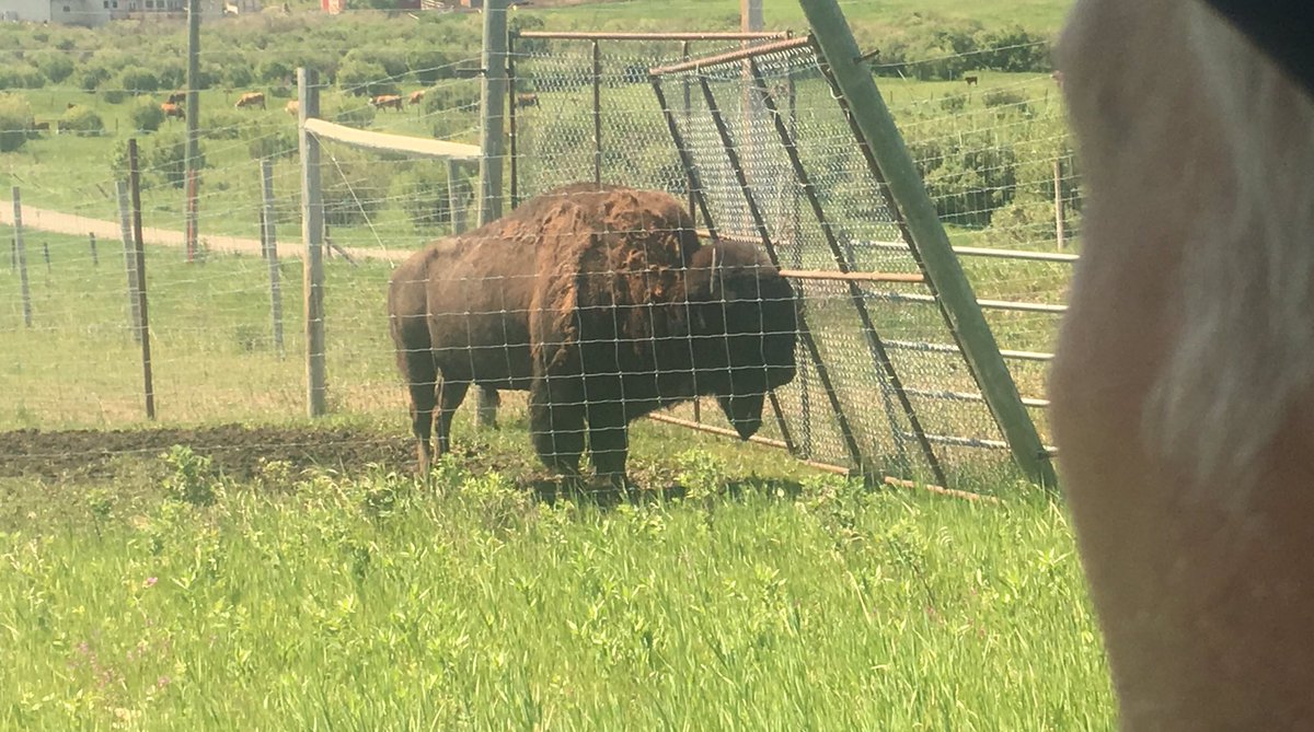 WolskiWm's tweet photo. Drivin w Dad, 2nd longest day of the year. Gratefully following @Newsbob ‘s road wisdom. Took 37st south, winding hills & valleys, eventually ended up west of Longview. Retraced our path, took more side roads for a magnificent drive! https://t.co/D2V4p3GTHc