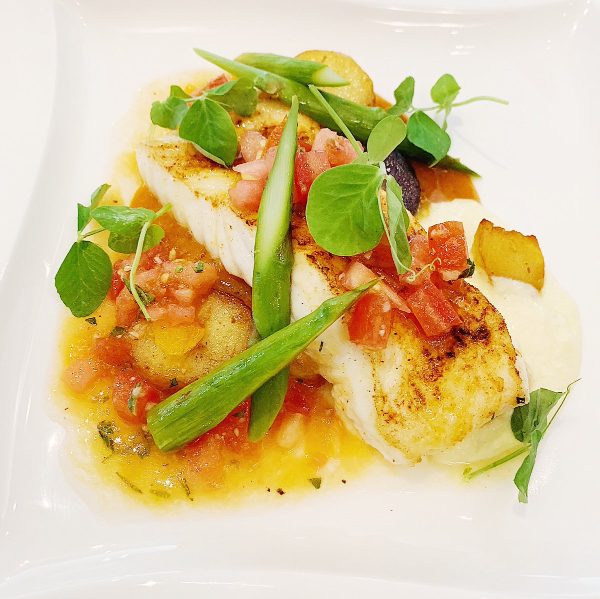djkhaled's tweet photo. One of my favorite protein options is fish and I love that it’s a zero point food!

5 SP!

Bless up @ww_us the new weight watchers #WellnessThatWorks
*People following the WW plan can expect to lose 1-2 lbs/wk.* #wwambassador #ad https://t.co/UFB96UaKZx