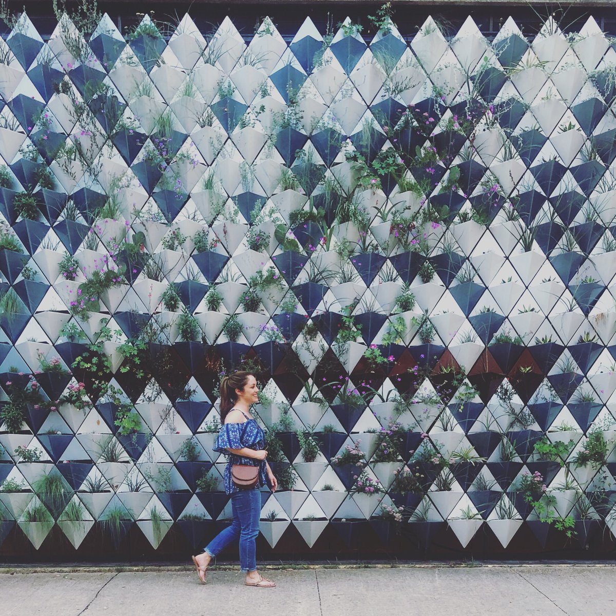 Strolling into the weekend like... 😎

What your weekend plans? Leave me a comment below! 👇👇
#tamu #livingwall #succulents #plantsofinstagram #weekendvibes #smile #happy #sunshine #bcsbloggers #cstat #collegestation #collegestationtx #collegestationblogger