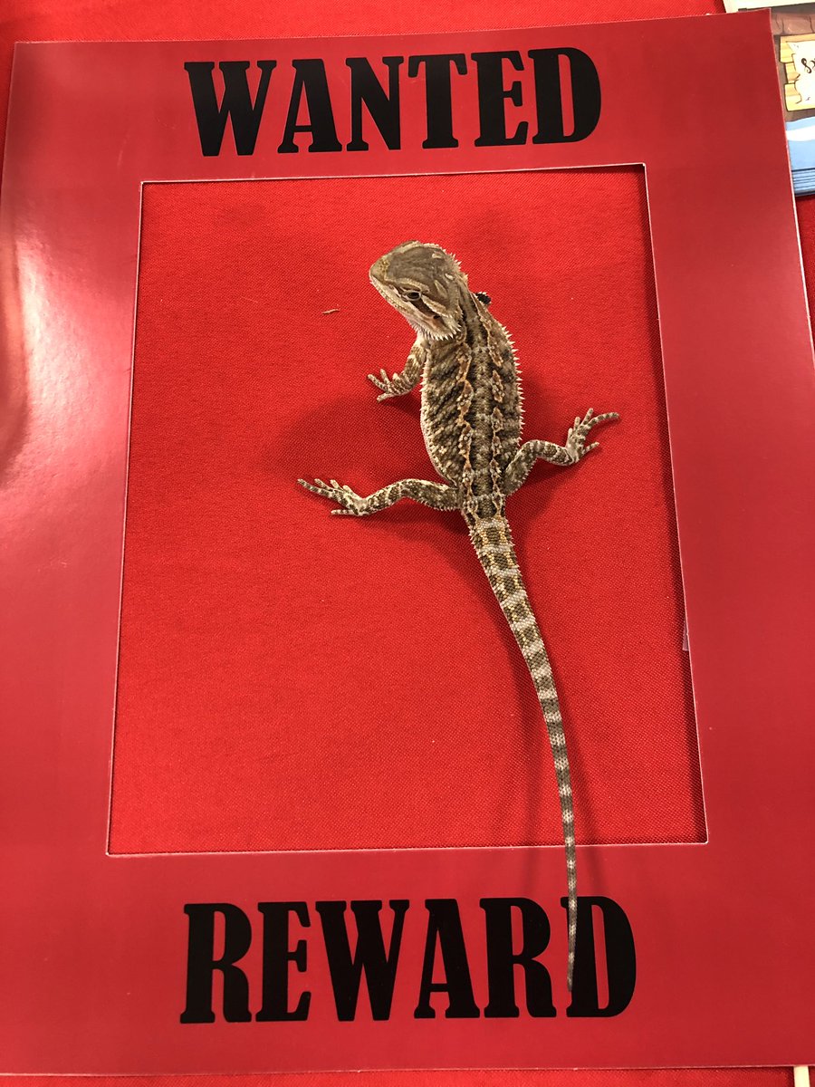 reptile roundup petsmart 2019