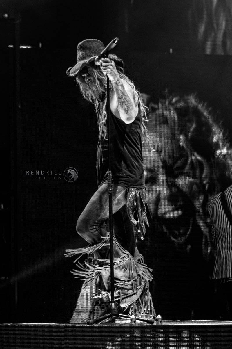 Trendkill Photos tweet media
