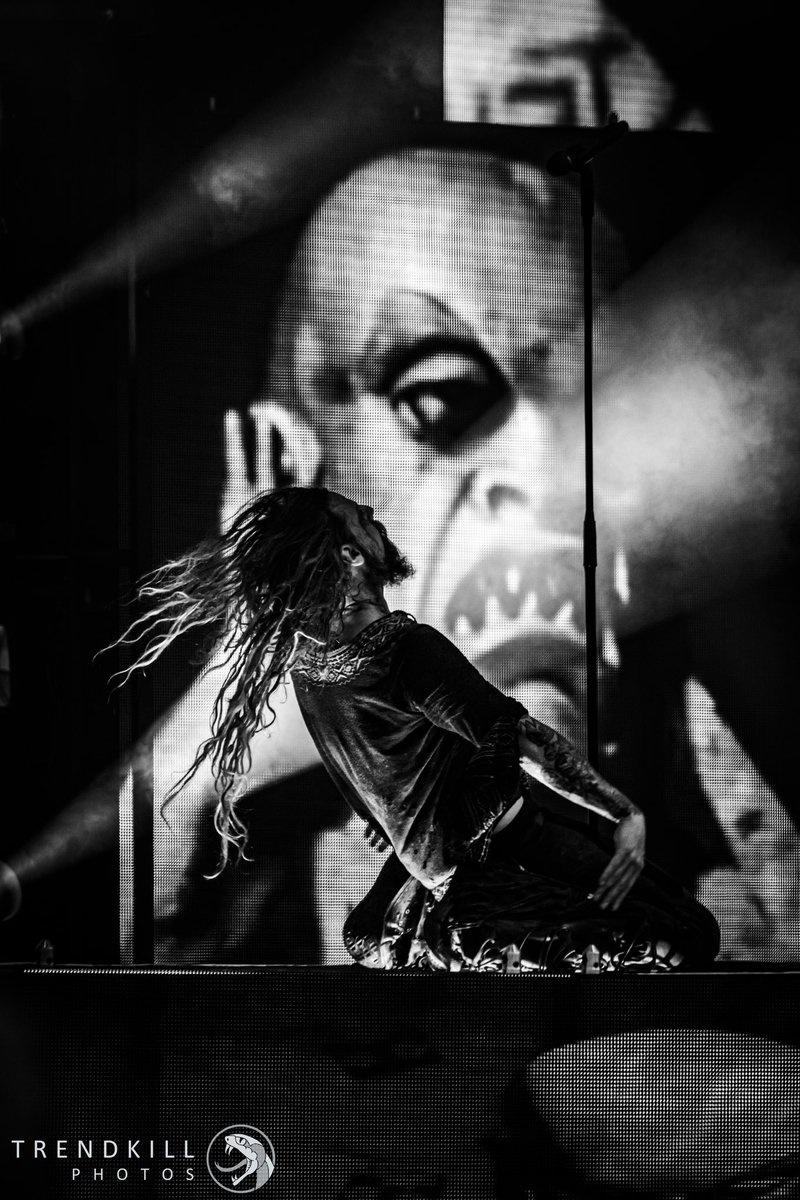 Trendkill Photos tweet media