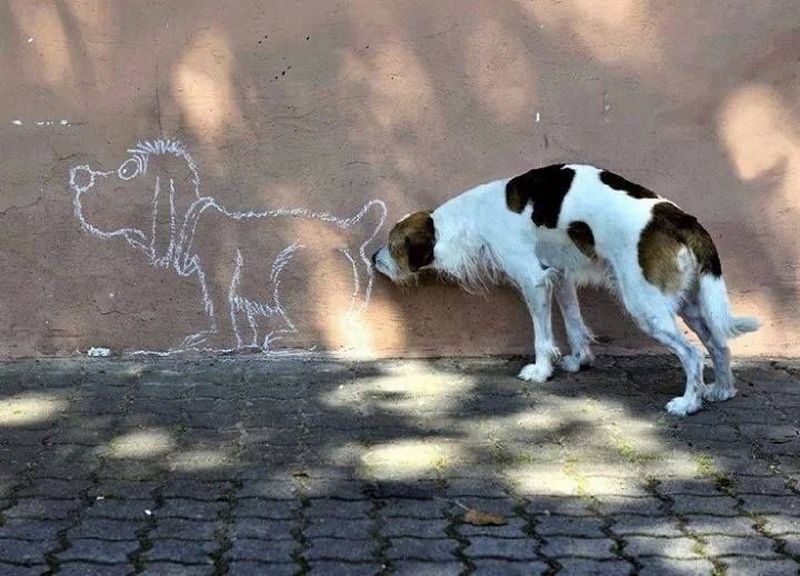 Sick_Street_Art's tweet photo. Something's not right here https://t.co/jemxbaTiSD