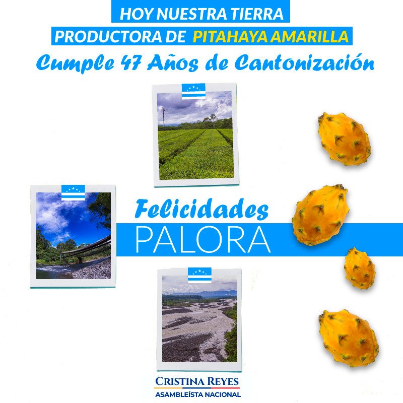 CristinaReyesec's tweet photo. Palora, Edén de la #Amazonía Ecuatoriana. Abrazo a la distancia a sus pobladores en sus fiestas por los 47 años de cantonización. https://t.co/FQk9Us4GWO