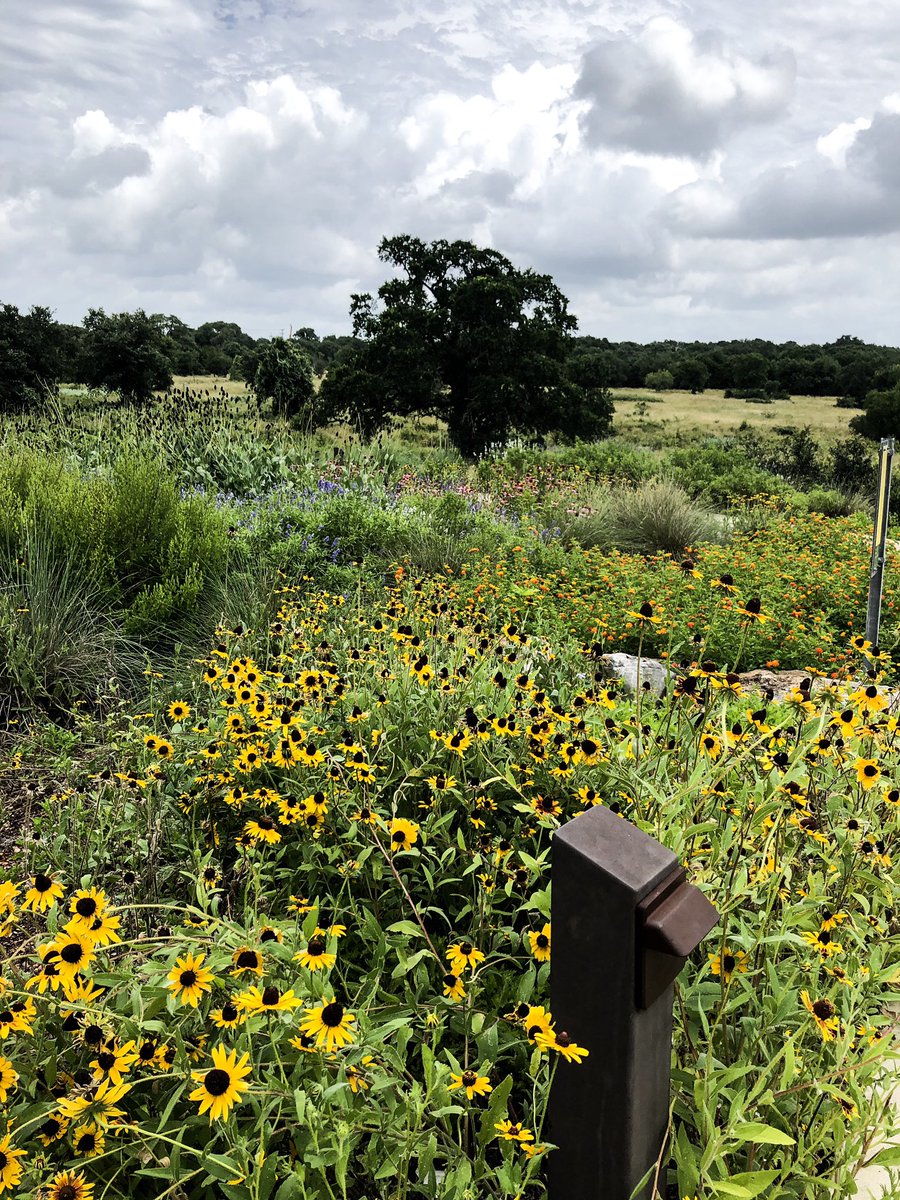 __cassib's tweet photo. The Lady Bird Johnson Wildflower Center was super rad! Got choked up watching the mini theatre film about Lady Bird Johnson too lol. #mustvisit #txnativeplants https://t.co/vZKbvhhzI2