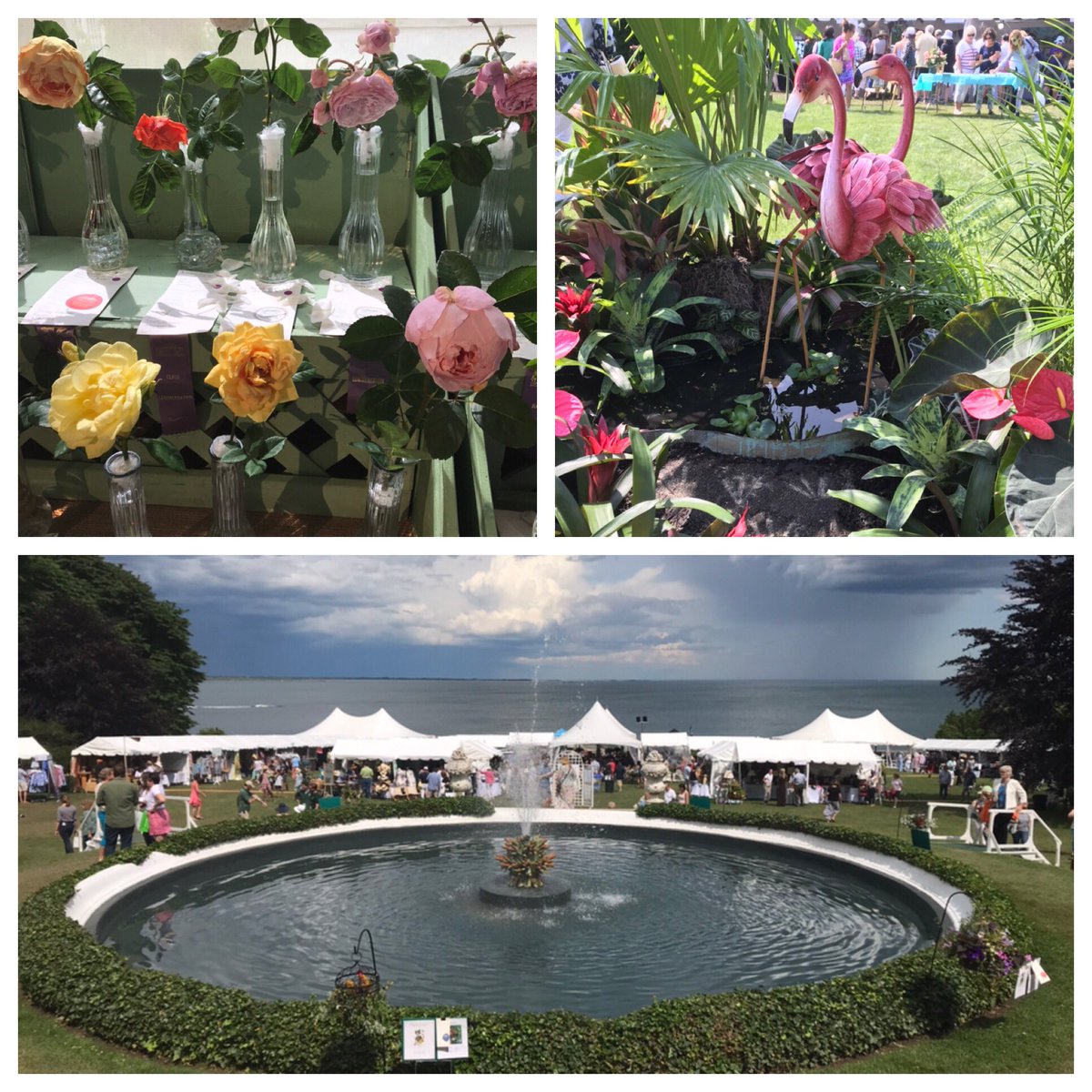 Cheers to a fabulous second day of the #NewportFlowerShow! There’s still one more day of beautiful floral designs, free lectures and demonstrations, shopping, and more! Come get in on the fun on Sunday at Rosecliff.