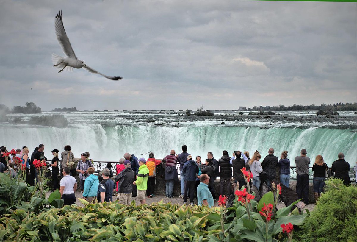 IncJassi's tweet image. When was the last time you visited Niagara? #DidYouKnow we offer day trips out to this stunning site? We do! Get in touch at (647) 853-2421 to find out more.