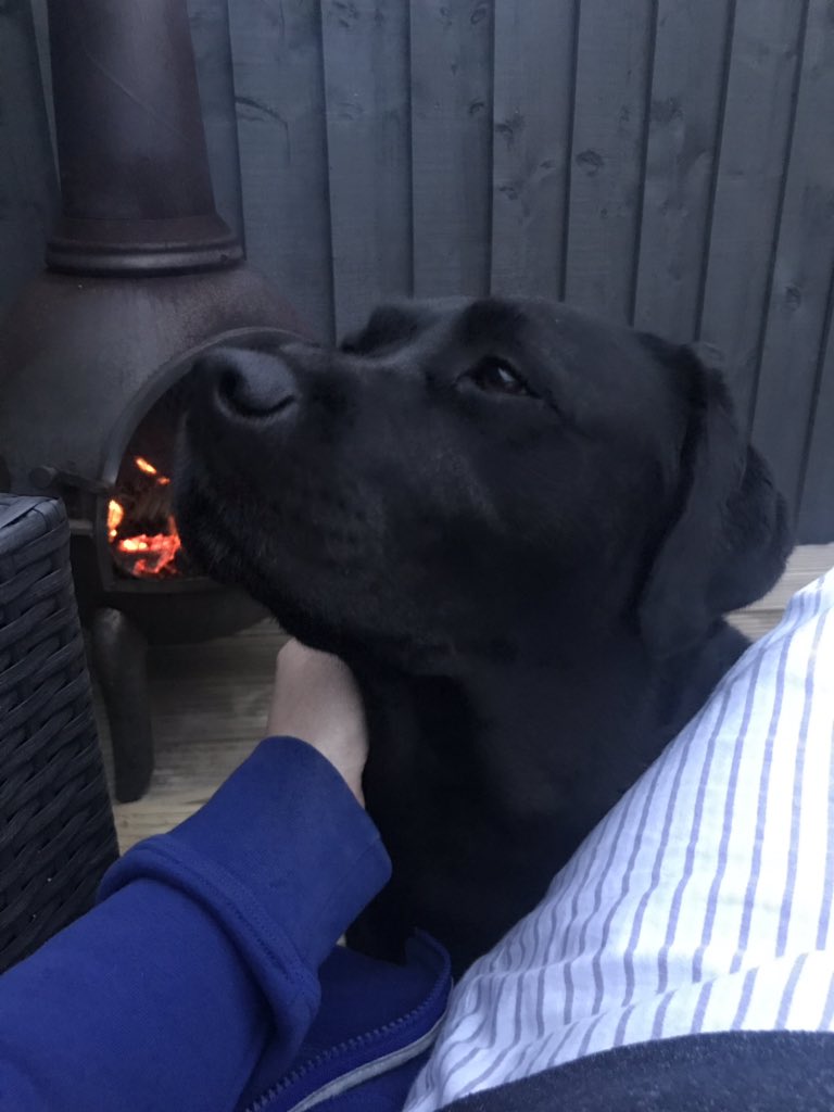 Lovely evening to relax and chill outside with my girl 🐶