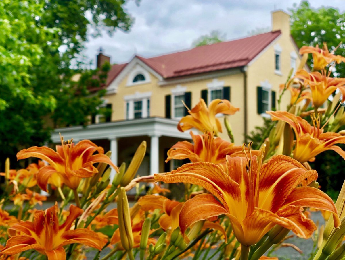 gcmarshall_org's tweet photo. It’s a beautiful summer day at Dodona Manor! How are you spending your sunny afternoon?🌞
#gcmic #firelilies #summer #pictureperfect #garden #loudouncounty #locoliving #loveloudoun https://t.co/6jwwHAyi4Q