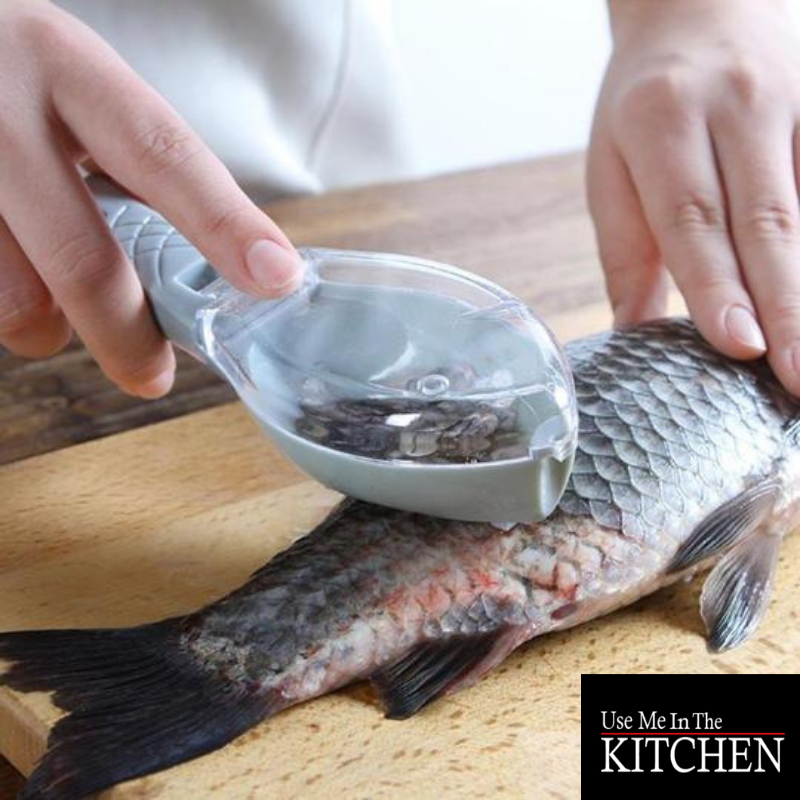 usemekitchen's tweet photo. Love fresh #fish, but hate scaling the darn things? Let our fish-scale scraper make the job easier! Simply brush it along the fish and watch the #scales fly into the tool. No mess, no annoyance. Just a fish that's already one step closer to your plate! https://t.co/gJvuN26Cjs https://t.co/Pr4bqqbIhU