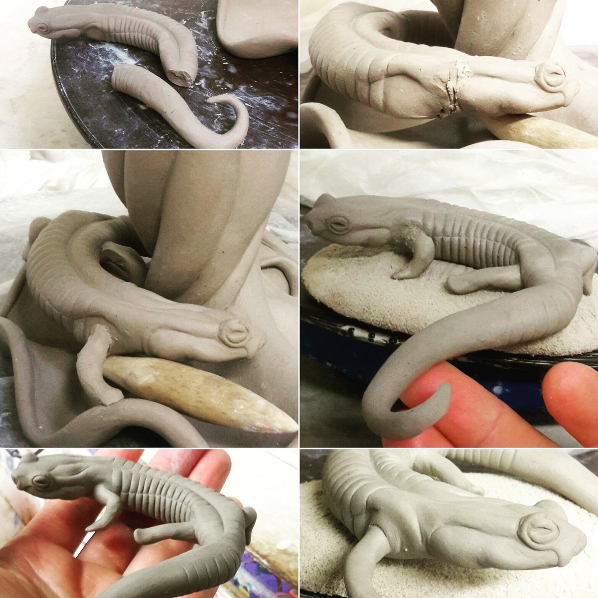 StasevichStudio's tweet image. Wow, I got an ENTIRE DAY to work in the studio! And I got #salamander 2 positioned and legged in 1 day instead of 4!  It's almost like when I have a whole day to work I can actually accomplish something! #wip #ceramicprocess #ceramicsculpture #amphibian #herpetology #natureart