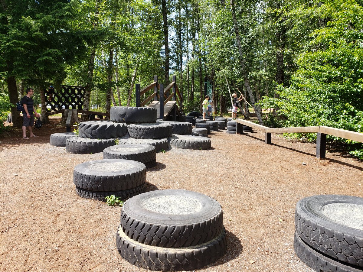 Ms_HBergstrom's tweet photo. Loving this play space at Camp Imadene!  #stumpsarefun #somanytires #yardgoals https://t.co/Ibb8jwP6YP