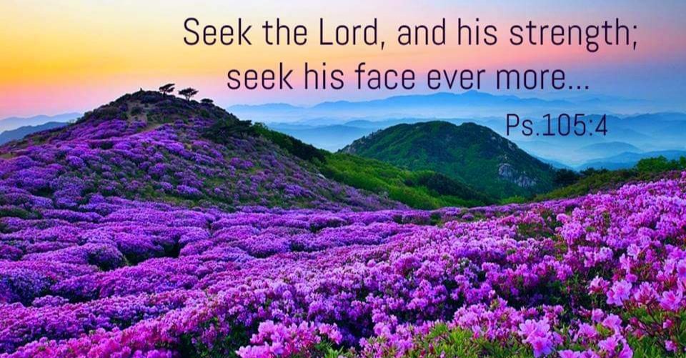 Josef Ram (@josefyousef64) on Twitter photo 