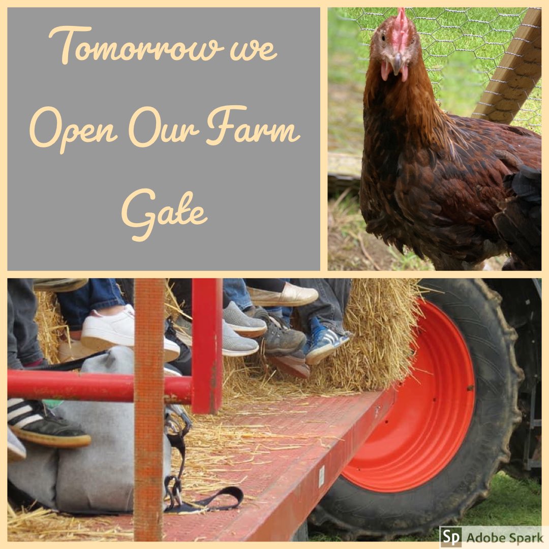 Palette and Pasture (@palette_pasture) on Twitter photo  Palette and Pasture (@palette_pasture) on Twitter photo