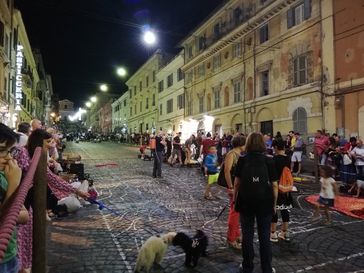 È iniziata la realizzazione dei quadri infiorati. Il lavoro andrà avanti fino alla tarda mattina di domani