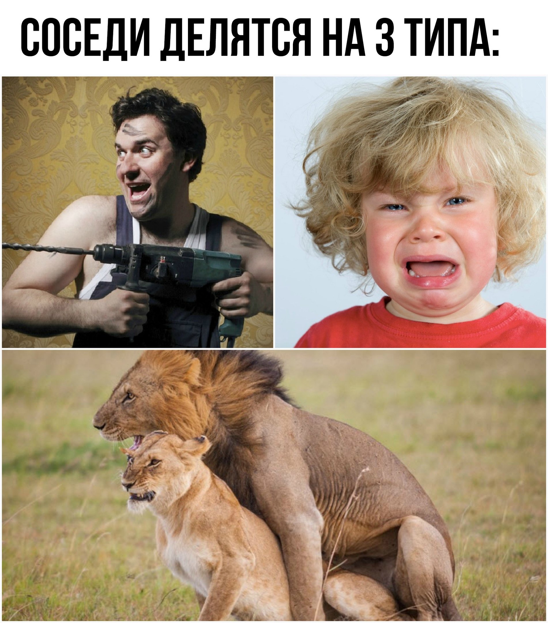 Самые смешные картинки в мире до слез