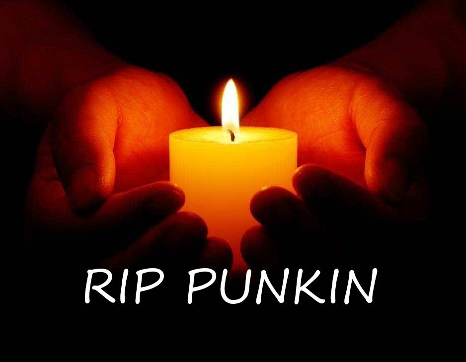 Punkins story at 6pm on our FB
#socksfwb #rip #killed #evilexist #lovecatsmore