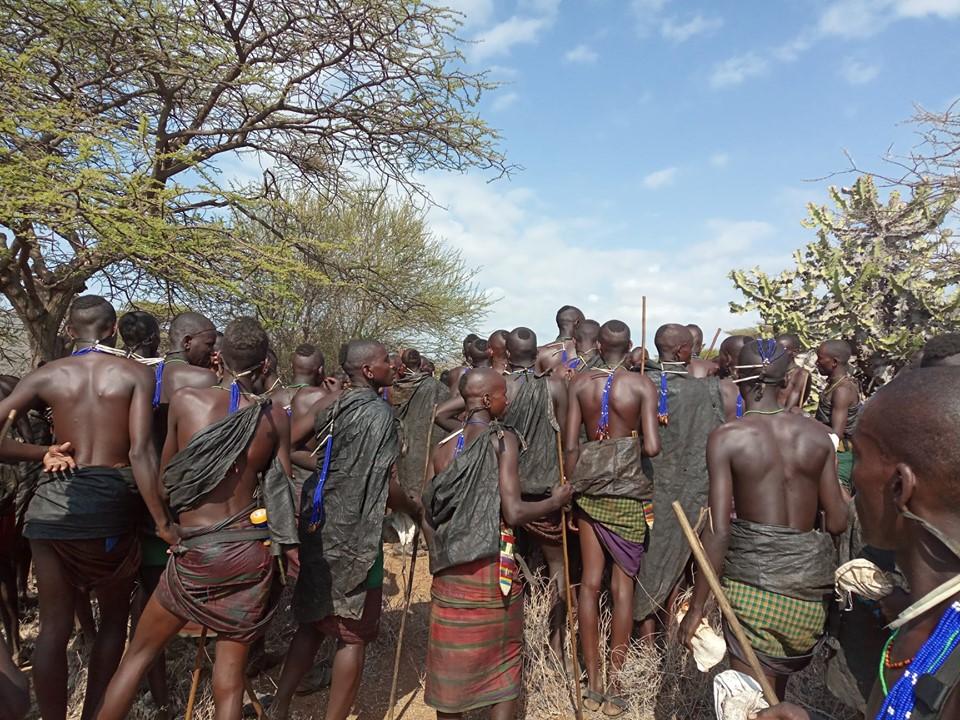 JamboMagazine's tweet photo. More than 300 boys from the Samburu community converging at the base of the Loolenyok hills in Samburu to participate in the activity of collecting gum resins from the indigenous Silalei trees as part of processes to complete their upcoming circumcision rites. Culture. https://t.co/XuUCv8kGkf