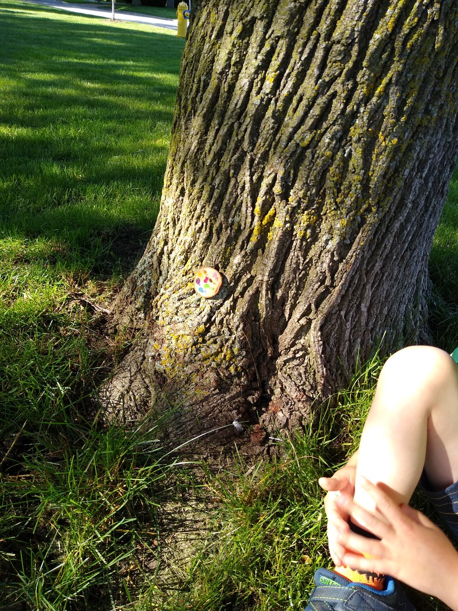 TiffBayley's tweet photo. Tree cookies hidden ☑️ 
Thanks #byron @londonlibrary! #tdsummerreading  #ldnont https://t.co/gxg9u7URgt