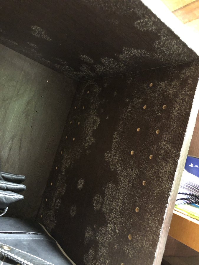 ニトリのカラーボックスはカビが生えやすい カビの原因と対処法は まいにちrainbow