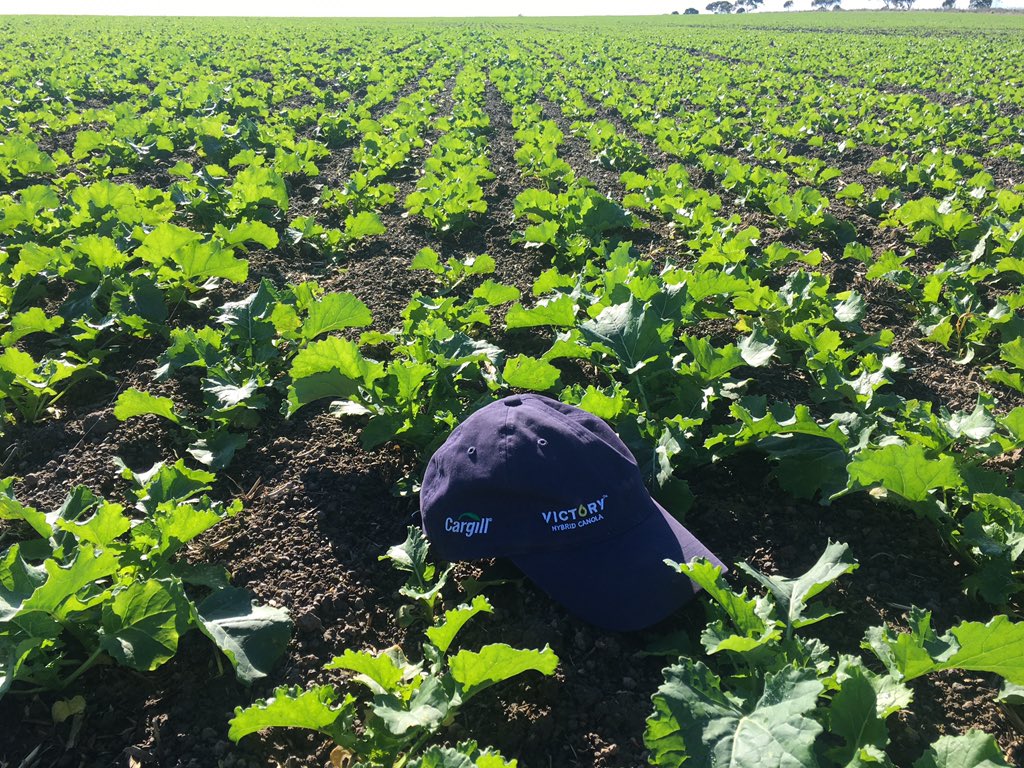 Agribusiness Plus tweet media